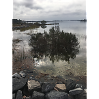 Gloucester King Tide image